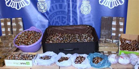 Intoxicados tres niños al comer hachís en el patio de su colegio de ...