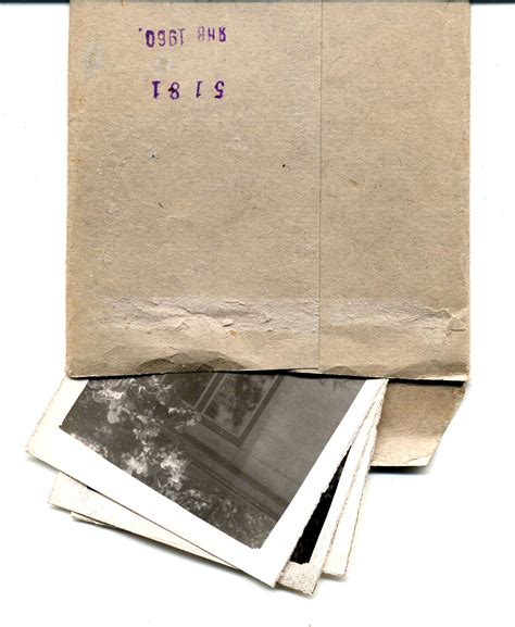 Corinna Kopf: Fighting Back After The Leak - Truth or Fiction