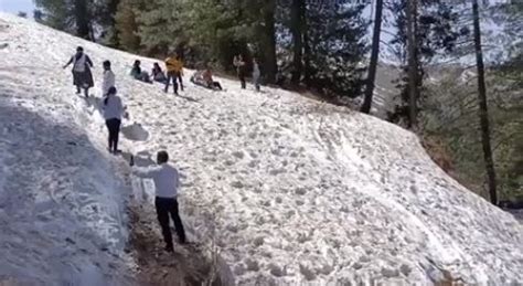 Wondering which hill station to travel next? Check out Patnitop in J-K