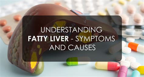 Understanding Fatty Liver - Symptoms And Causes - Krishna’s Herbal & Ayurveda - Blog