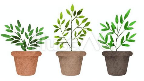 Image result for Scratch 3D Tutorial