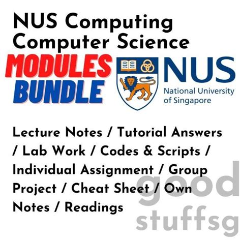 A+ NUS Computing Computer Science Engineering Information Systems Courseware + Full Module ...