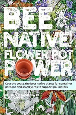 BEE NATIVE! Flower Pot Power: Coast to coast, the best native plants ...