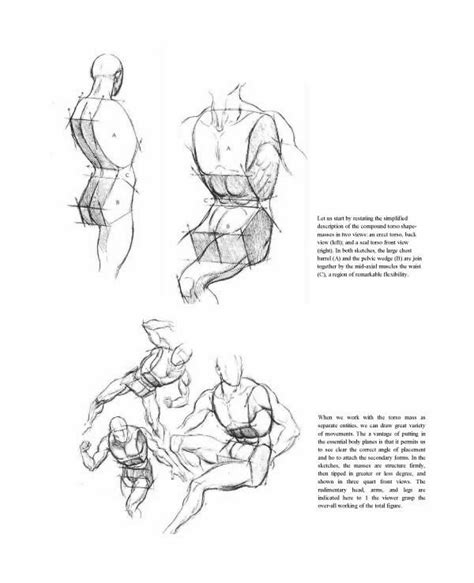 Image result for Cunstructive Figure Drawing