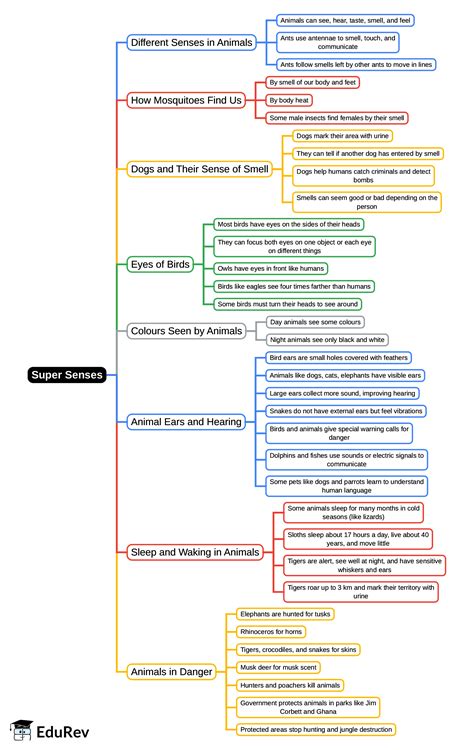 Mind Map: Super Senses - Class 5 PDF Download