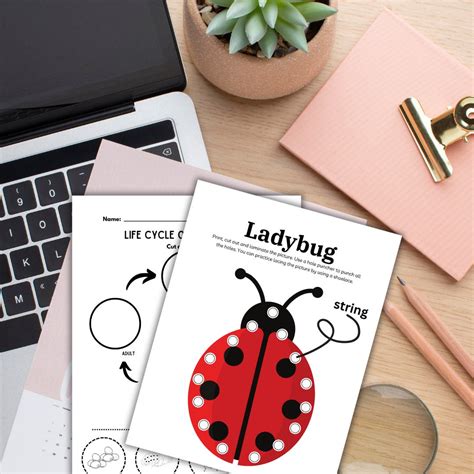 Image result for Ladybug Life Cycle Printable