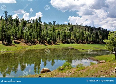 Black Canyon Lake, Navajo County, Arizona, United States, Apache ...