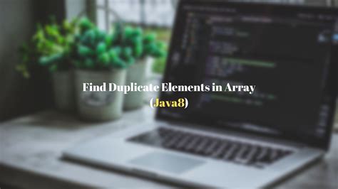 Duplicate Number in Array Java 的图像结果