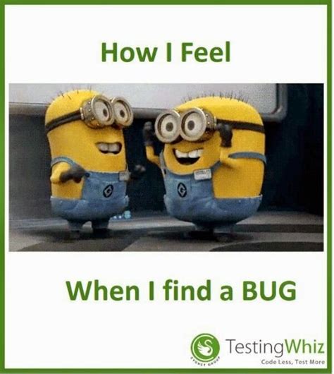 Image result for Funny Example of Software Testing Error