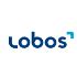 Working at LOBOS Informatik | Glassdoor