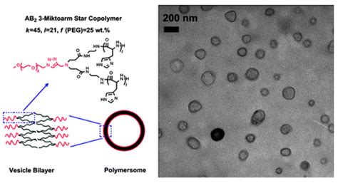 Miktoarm Star Polymers: Branched Architectures in Drug Delivery