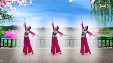 广藏舞蹈视频大全2015 广场舞教学 梦醉荷塘