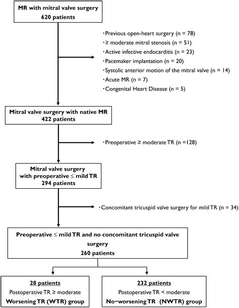 Prognostic Predictors of Tricuspid Regurgitation Worsening after Mitral Regurgitation Surgery ...