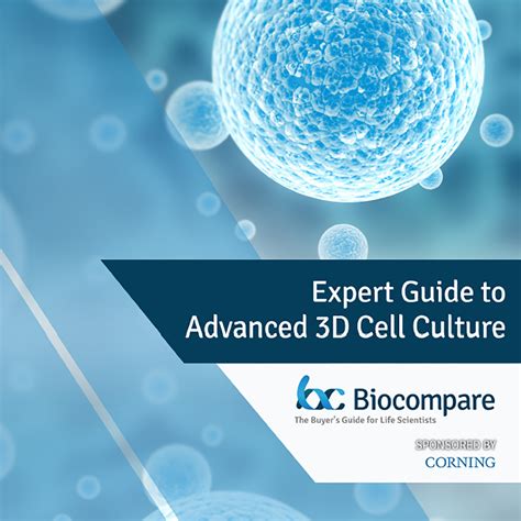 Advanced 3D Cell Culture Expert Guide | Ebook | Corning