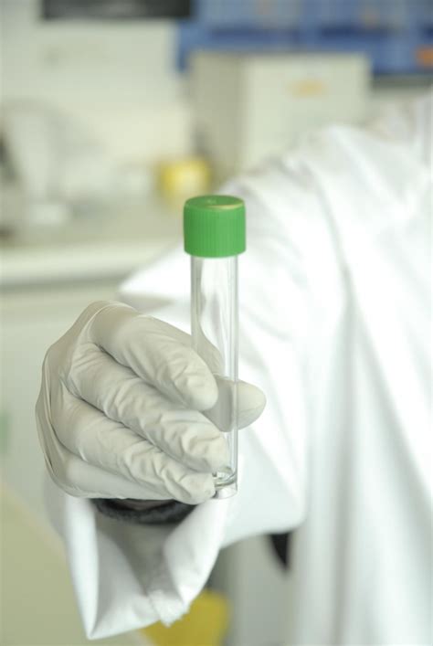 Dna图片 的图像结果