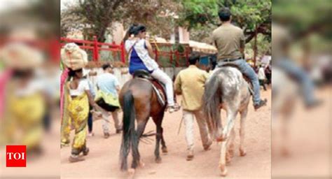 Horse Riding: Parts of Matheran may ban horse rides | Navi Mumbai News ...