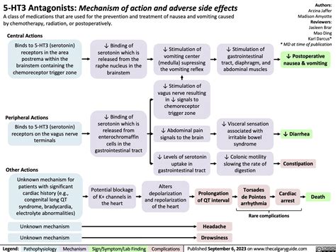 5-HT3 Antagonists: Mechanism of action and adverse side effects ...