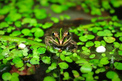 Spice Up Your Instagram Grid: Creative Photo Editing Secrets