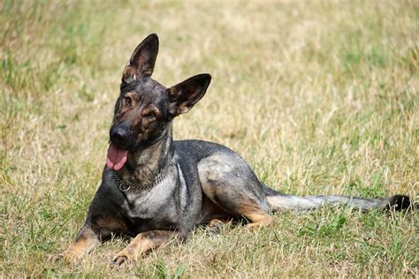 Canon RF 75-300 mm f/4-5,6 (RECENZE) | Alza.cz