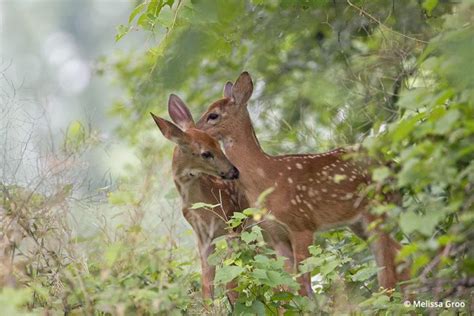 what is the salary of photography