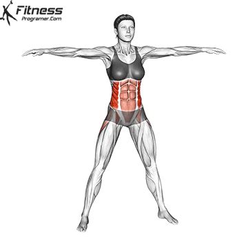 Image result for Windmill Exercise for Abs