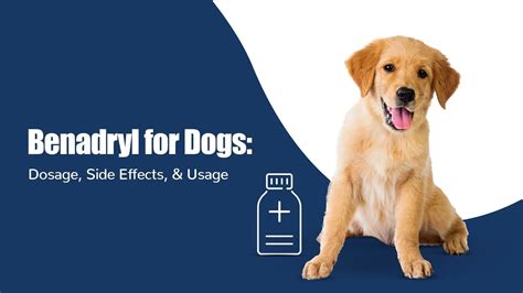 Benadryl for Dogs: Dosage, Side Effects, & Uses | Zigly