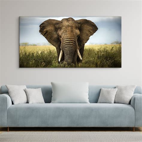 🏡 Wildlife Canvas Wall Art Paintings For Home Decor – Paper Plane Design