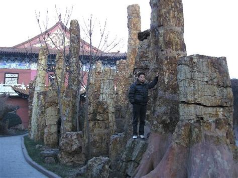 BAOCHENG HOTEL (Tianjin) - Hotel Reviews, Photos, Rate Comparison ...