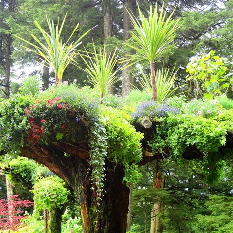 GLACIER GARDENS RAINFOREST ADVENTURE (2025) All You Need to Know BEFORE ...