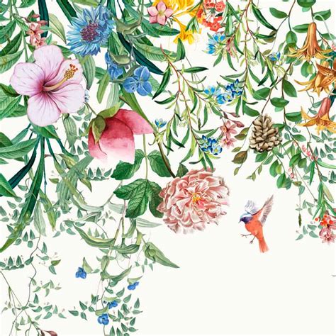 Unique Hanging Floral and Bird Wallpaper for Bedrooms | lifencolors ...