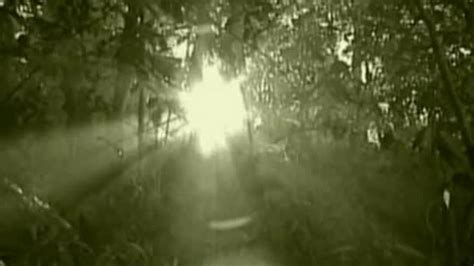 行走在瘴气弥漫的原始丛林，各种恶性疾病开始横行_凤凰网视频_凤凰网