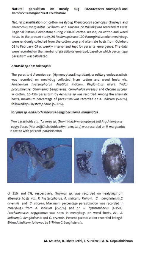 CropPest DSS-Articles