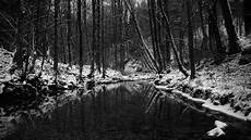 Wallpaper And White by 40 Black And White Wallpapers Technosamrat Wallpaper And White