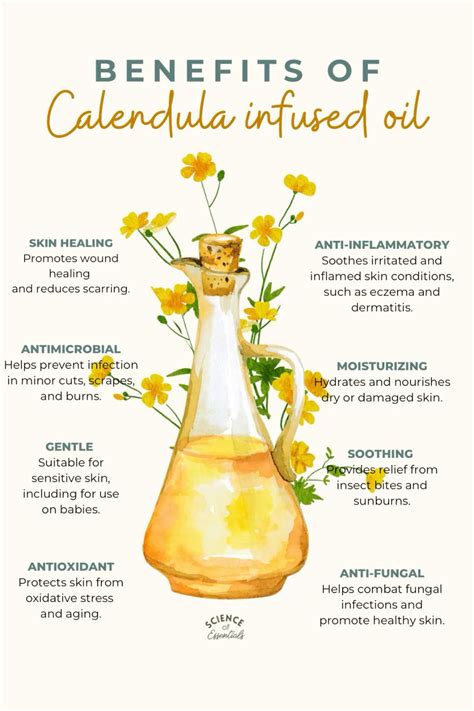 Best 14 Calendula Oil: DIY Guide – Artofit