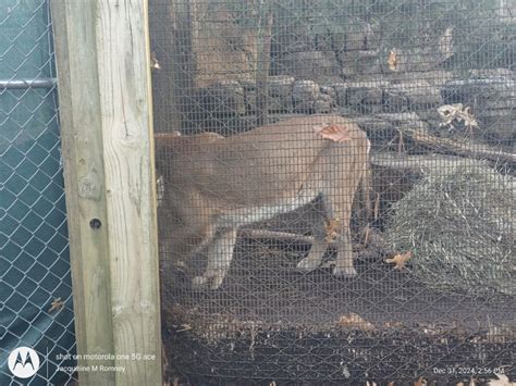 Bergen County Zoo, Paramus, NJ: Information, Tickets and Reviews