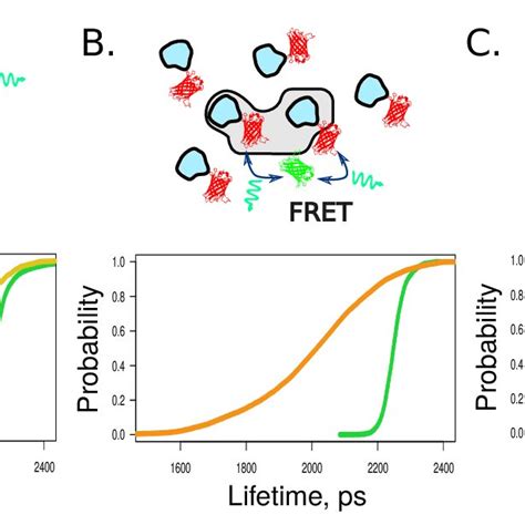 Image result for Peripheral Visual Field Defect