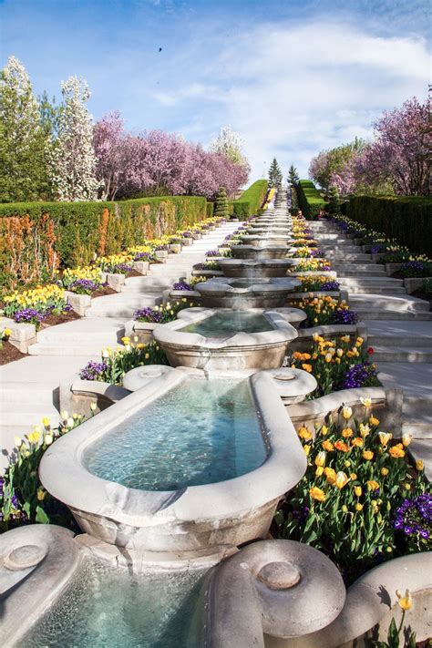 My Musings: Tulip Festival at Thanksgiving Point