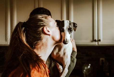 Amazing Benefits of Owning a Dog - Hello Green Beauty