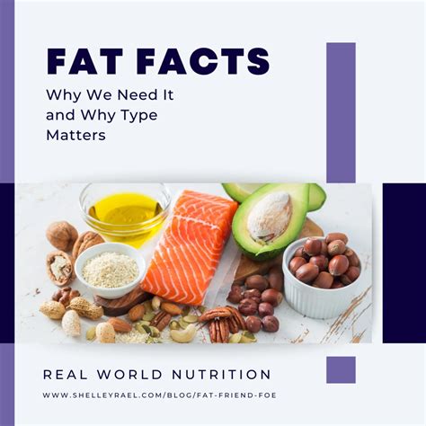 Image result for Eating in Moderation