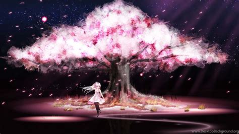 Download Enchanted Cherry Blossom Night Anime Wallpaper | Wallpapers.com