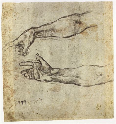 Image result for michelangelo anatomy studies