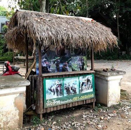 THE JUNGLE HOUSE KHAOYAI (Mu Si) - Guesthouse Reviews & Photos ...