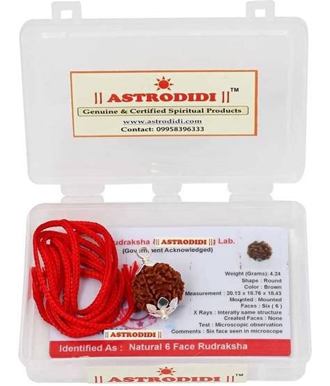 Astrodidi 6 Mukhi Rudraksha Pendant With Lab Certificate