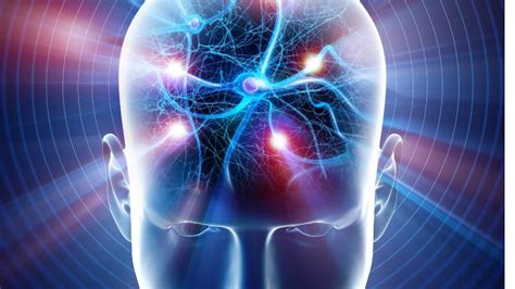 Applied Neuroscience in sports: Training individualization | RoyalBosS