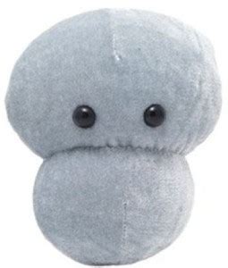 GIANT Microbes Meningitis (Neisseria Meningitidis) Plush - 3.9 inch ...