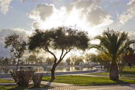 City Park 的图像结果