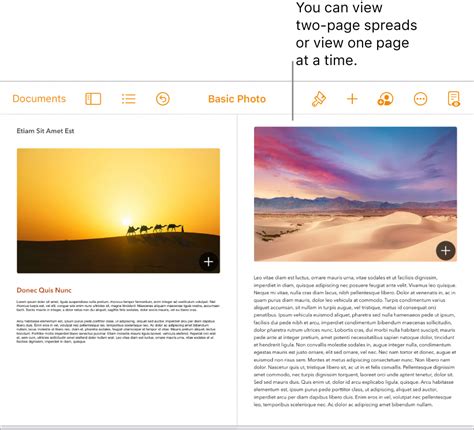 Set up facing pages in Pages documents on iPad - Apple Support (IN)