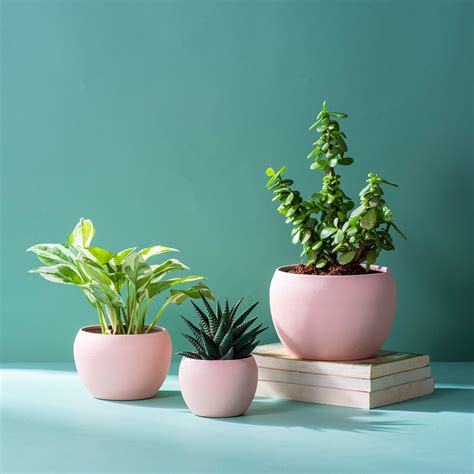 Buy Chic Beige Metal Planters | Buy Vases Online at Best Price – Nestroots