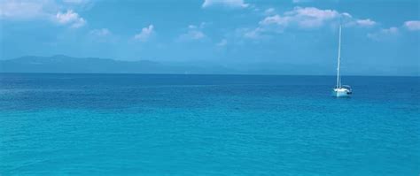 Form JavaScript Web Dev Simplified 的图像结果