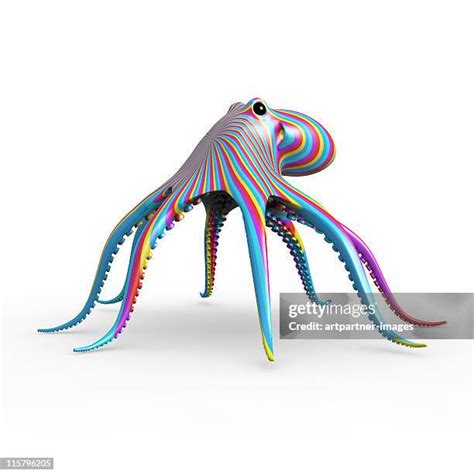Image result for Colorful Octopus